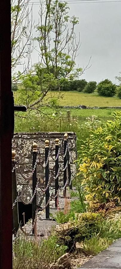 The Old Mill, Kilcorkey, Bellanagare, Castlerea, County Roscommon - West Of Ireland -House 1ヴィラ エクステリア 写真