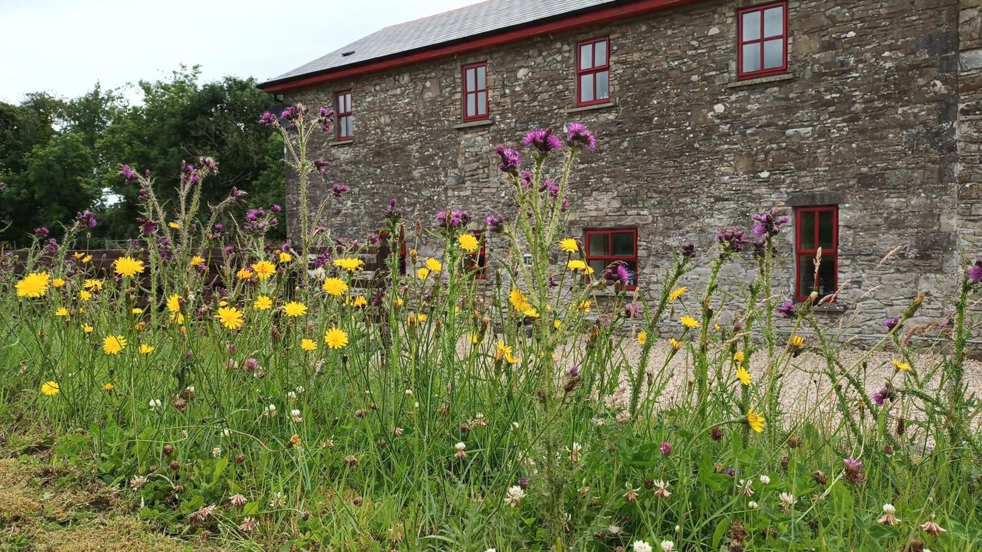 The Old Mill, Kilcorkey, Bellanagare, Castlerea, County Roscommon - West Of Ireland -House 1ヴィラ エクステリア 写真